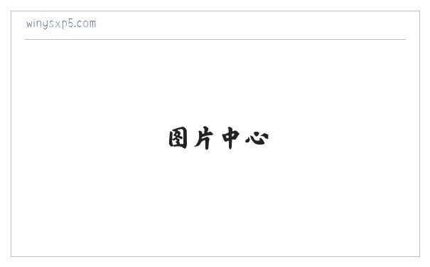 embroidery software, embroidery digitizing software,machine embroidery software 缩略图